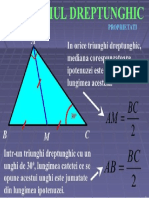 Triunghiul Dreptunghic