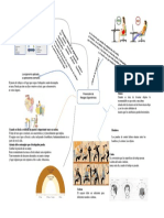 Mapa Mental Sobre Manufacturas