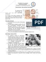 Scie-14 Interaction Between Cells and Their Environment