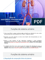 Aula 02 -  Anatomia e fisiologia renal