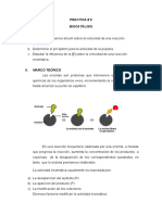 P6 Biocatálisis 2022-1 Fase II