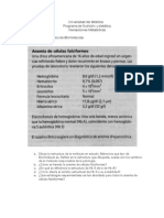 Caso Biomoleculas