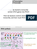 How Do Bacteria Transcribe Certain DNA Genes Into RNA? How Do Bacteria Control Which Genes They Transcribe, and How Much RNA They Make?