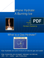 Methane Hydrate: A Burning Ice: by Priyaranjan 2 Year Petroleum Engineering