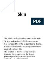 Skin Organ Structure and Functions