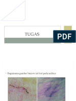 Tugas