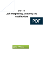 BOT117 - Unit IV LEAF