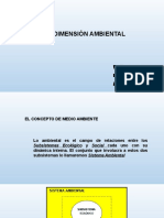 3 - La Dimensión Ambiental