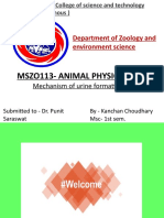 Share Mszo113 - Animal-Wps Office