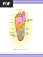 Download FootHand Map Reflexo by musa_cristian SN57230278 doc pdf