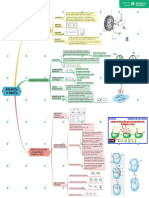 ESTATICA 2 PARTE Mapa Conceptual