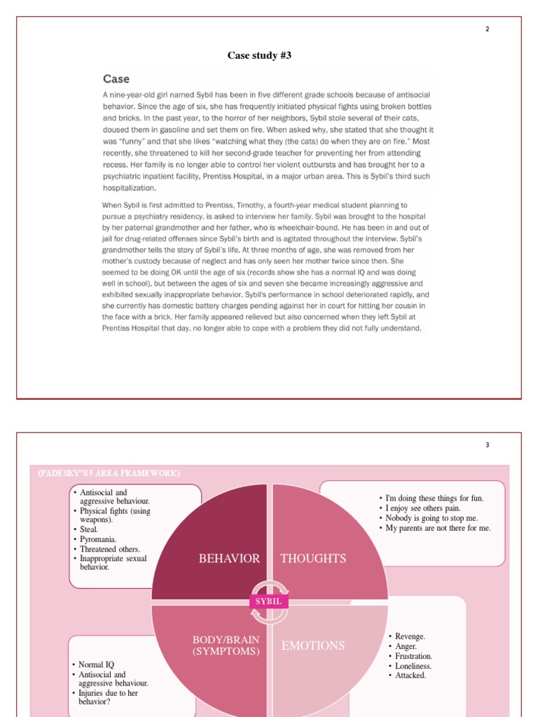 Sybil's Case Formulation | PDF | Mental Disorder | Aggression