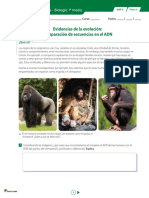 Similitudes en ADN revelan parentesco evolutivo