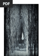 Breve manual de substâncias  mágicas naturais vol 1