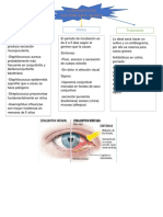 10 - Conjuntivitis