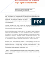 Resumo Aula Princípios básicos da psicoterapia baseada em processos