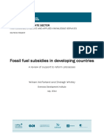 Fossil Fuel Subsidies in Developing Countries