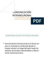 C7 COMUNICACIÓN INTRANEURONAL - Notas Clase