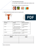 Taller Sobre Reproduccion Humana