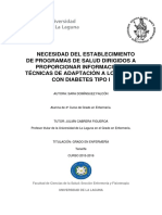 Necesidad Del Establecimiento de Programas de Salud, Dirigidas A Proporcionar Informacion y Tecnicas de Adaptacion A Los Ninos Con Diabetes Tipo I