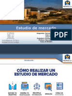 Estudio de Mercado de Proyecto Grupo El Maiten