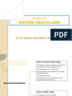 Anatomi Sistem Vasculare KU-4 2017