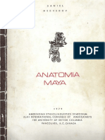 Anatomia Maya