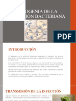 3.1. Patogenia de La Infección Bacteriana