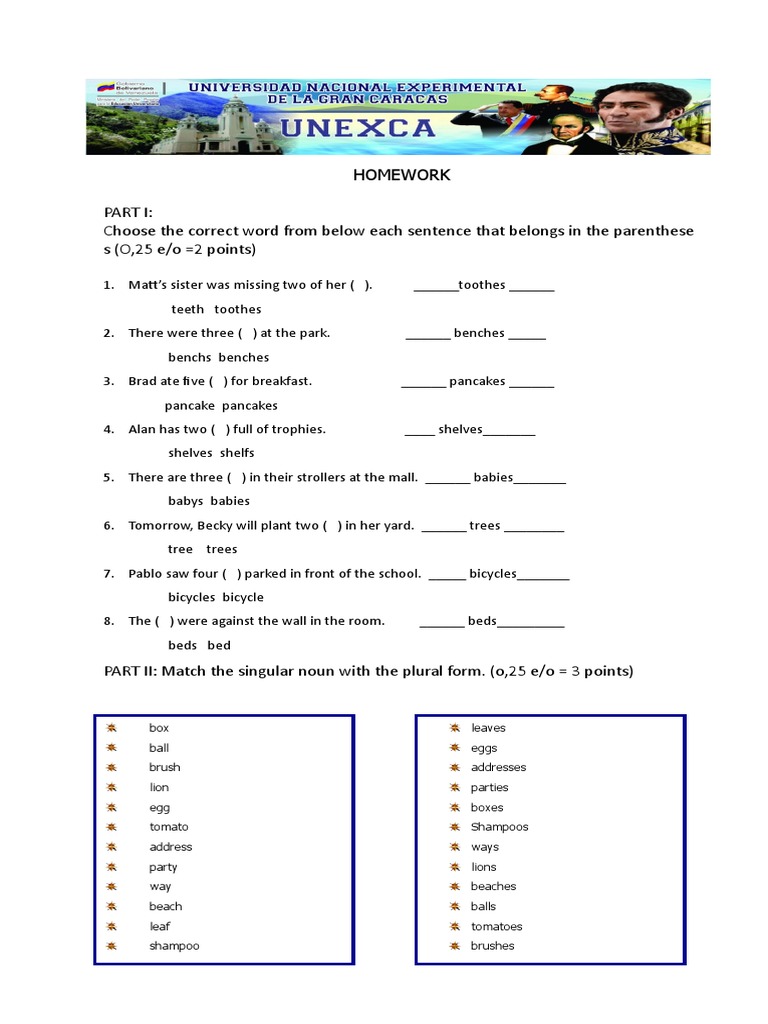 Plural Nouns Homework PDF Plural Language Mechanics