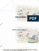 Volleyball