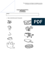 Diagnostico Cs. Naturales 1ero Básico