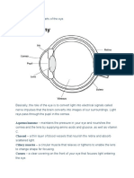 The Main Parts of the Eye and Their Functions