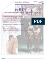 5 P. Boletin de SwPachuca #4 (PDF Todo Sobre La Cultura)