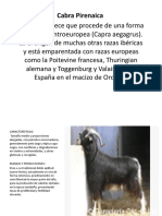 cabras