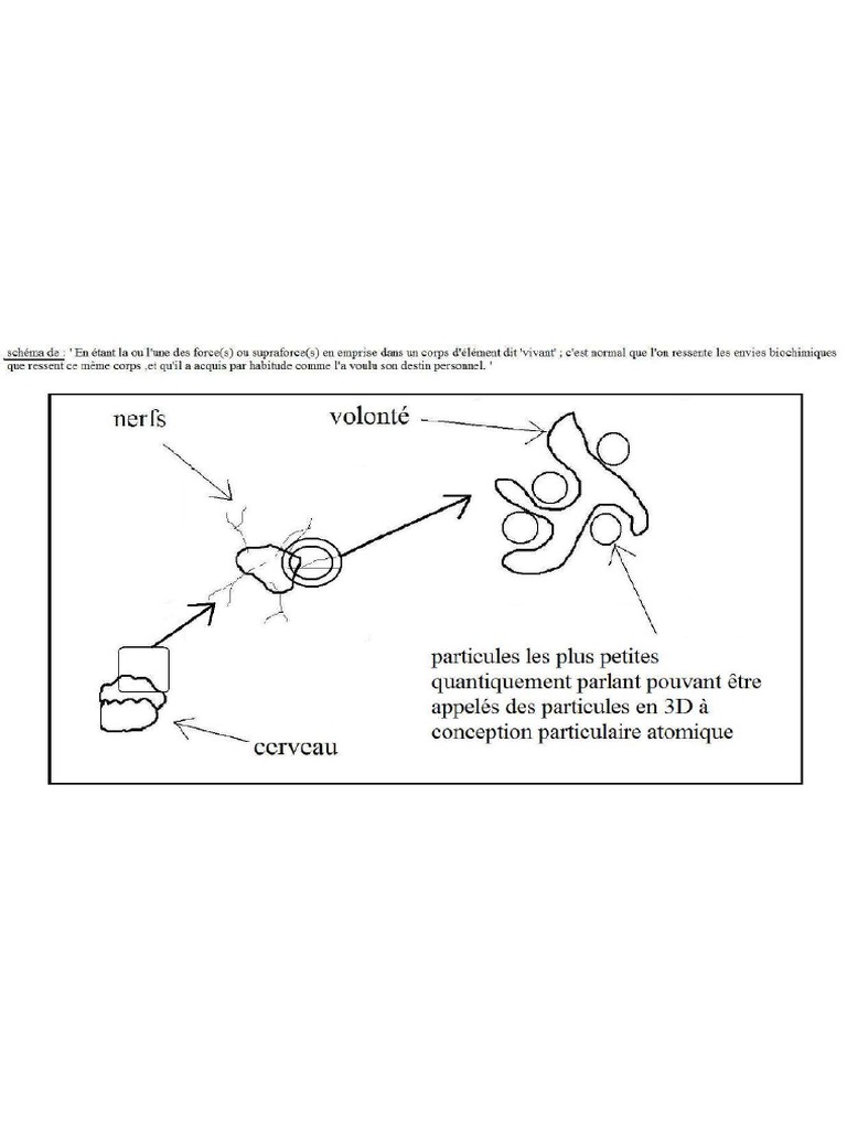 Schema F Ausdruck | Schema F: Ursprung und Bedeutung – IFAPMB