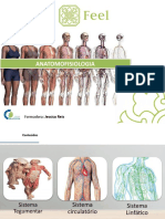 Anatomofisiologia Ii