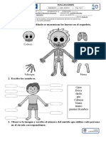 ACUMULATIVACIENCIASEGUNDO