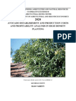 Avocado Establishment and Production Costs and Profitability Analysis in High Density Planting