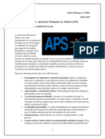 Informe APS (Crismeiry Brand)