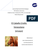 Ensayo Caballo Criollo Venezolano, JJ, LS, LP