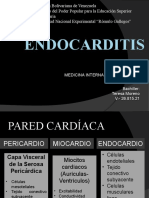 ENDOCARDITIS Teresa