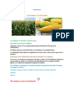 Fitotecnia I. Cuestionario Sobre El Cultivo de Maíz