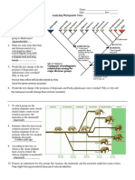 Kami Export - Aditya Rathor - Copy of Analyzing Phylogenetic Trees