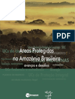 areas-protegidas-na-amazonia-brasileira-avancos-e (3)