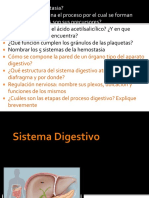 Sistemas hemostasia y procesos digestivos