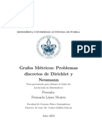 Problemas discretos de Dirichlet y Neumann en grafos métricos