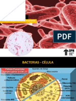 Gram - Positivas - Gram Negativas