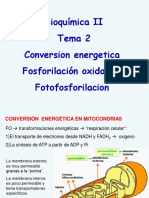 Tema 2 Conversión Energética