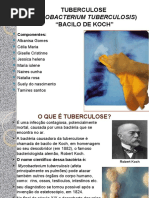 Download Tuberculose Mycobacterium Tuberculosis BACILO de KOCH by albanisa24 SN57244744 doc pdf