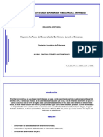 pdf-diagrama-las-fases-del-desarrollo-del-ser-humano-durante-el-embarazo_compress